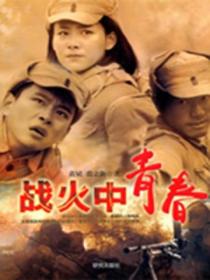 战火中的青春电视剧全集在线观看免费