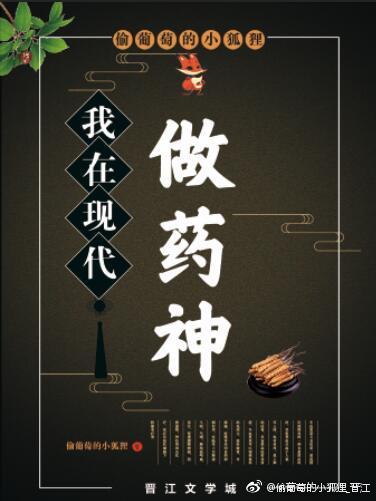 我在现代做神医txt