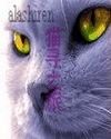 猫寻大大的个人主页