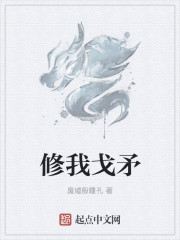 修我戈矛的拼音