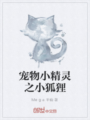 宠物小精灵之狐说