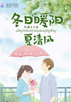 冬日暖阳夏清风小说
