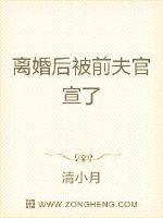 离婚后我被前夫宠坏全文阅读