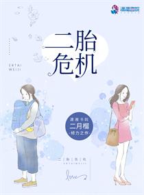 二胎危机小说全集下载