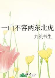 一山不容两东北虎by