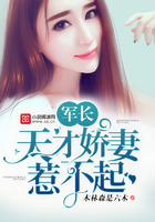 新婚甜蜜蜜萌妻抱一抱免费阅读全文