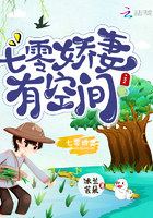 七零娇妻有空间成子衿