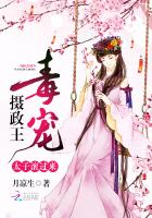 摄政王宠妻毒妃